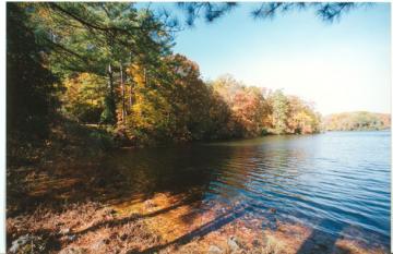 Lake Matoaka surrounded by trees