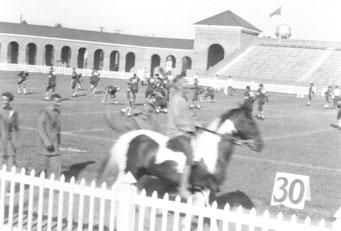 School mascot Wampo the pony trots across the field in Zable stadium